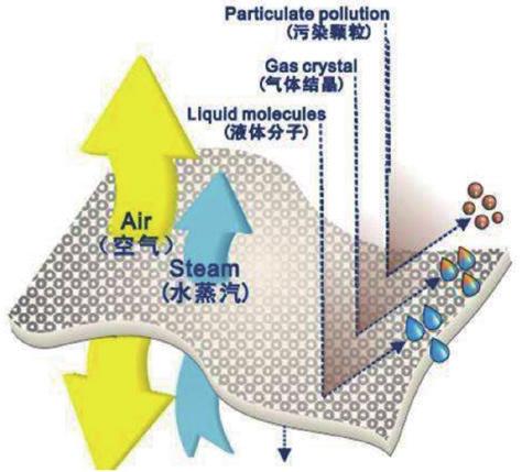 One step Breathable film line3